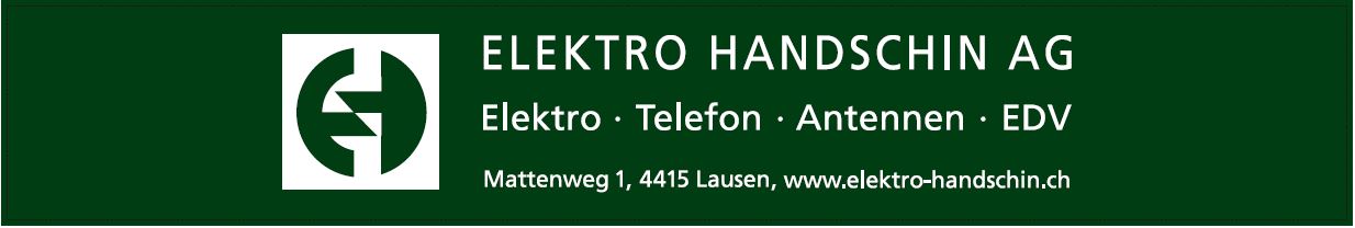 Elektro Handschin